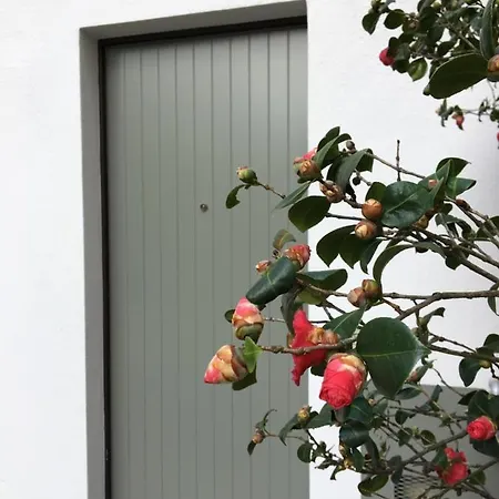 Appartement La Casetta Sul Lago Como